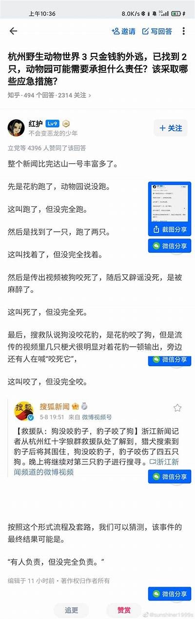 《揭秘天龙私服木马背后的安全隐患与防范技巧》